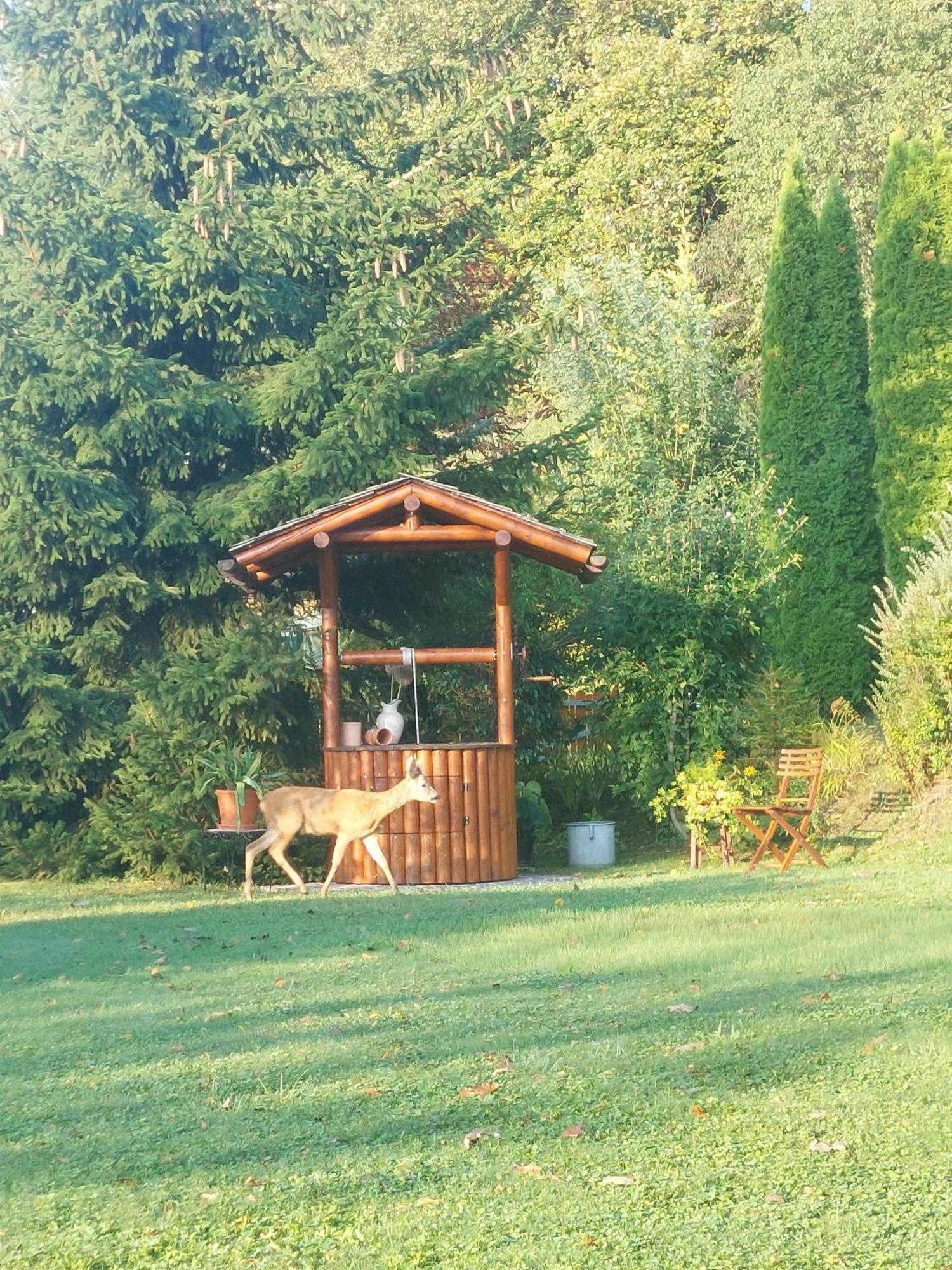 Privatzimmer Am Weinbrunnen Vorchdorf Exterior photo